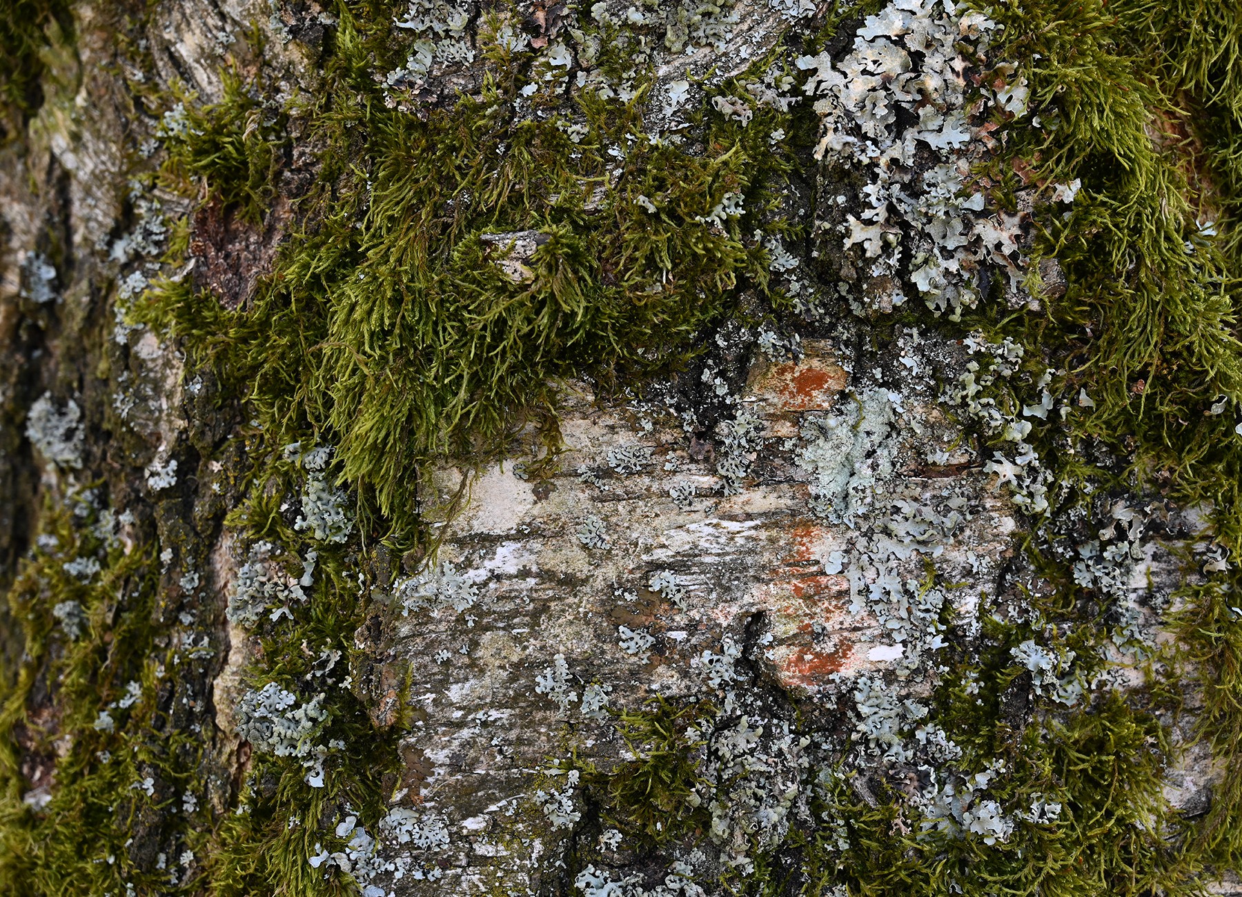 rohleder-ueber-uns_nachhaltigkeit