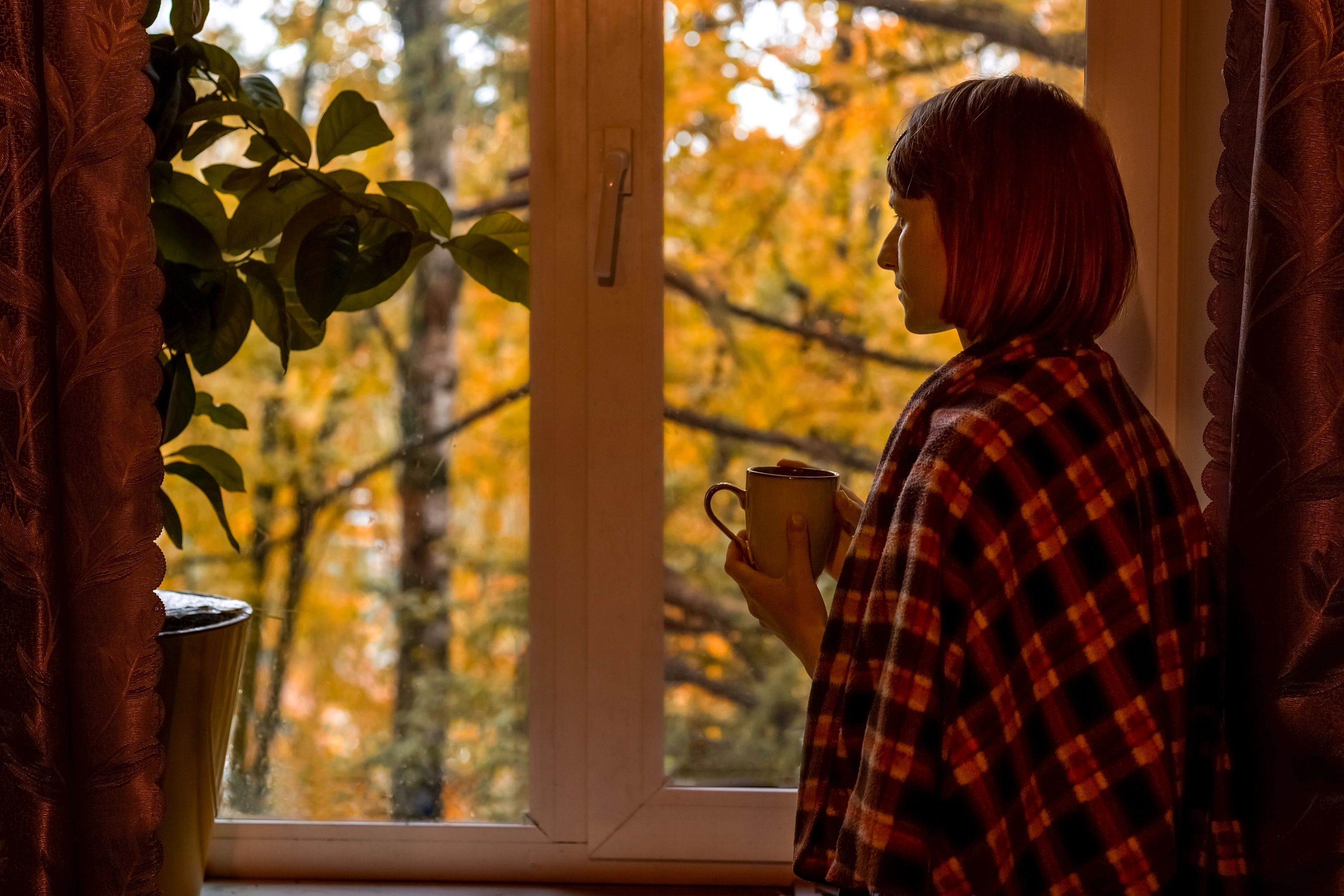 Frau mit Tasse in der Hand steht am Fenster und blickt auf herbstlich gefärbte Bäume.