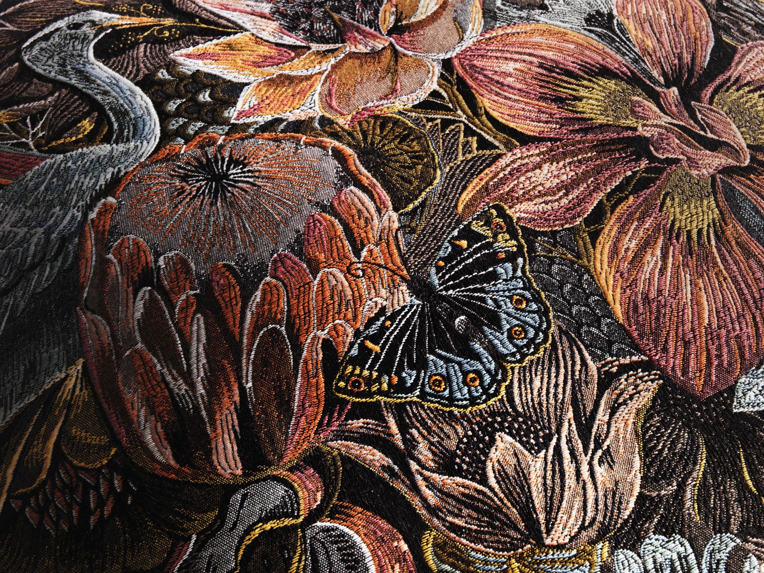 Kissen by Olaf Hajek - South African Flora - Lush - 60x60 Kissen by Olaf Hajek - South African Flora - Lush - 60x60