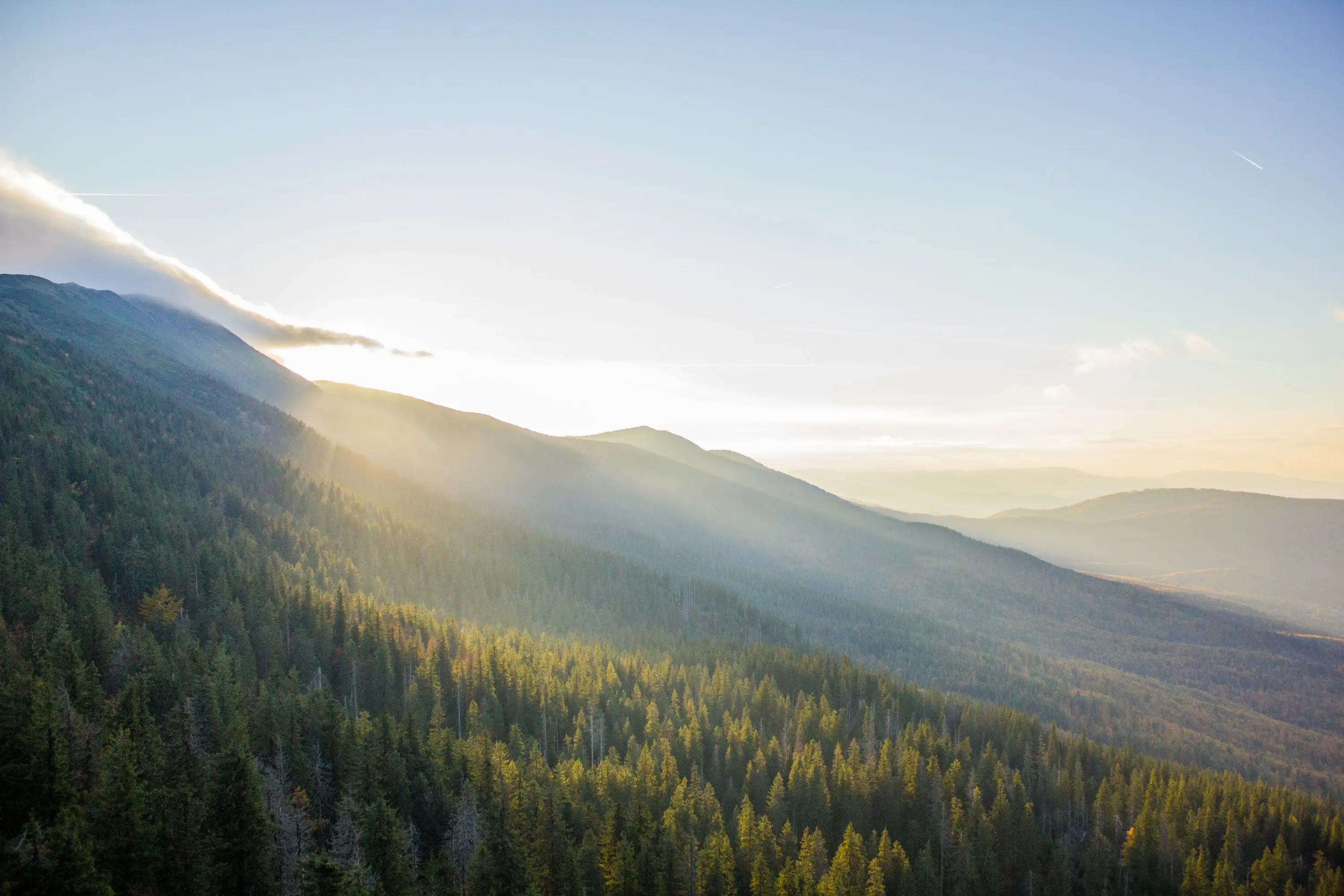 Sonnenstrahlen fallen über ein bewaldetes Bergpanorama.